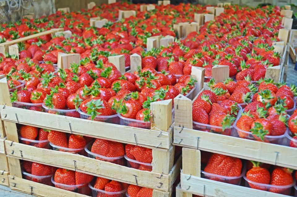 Agriturismo La Ruota Montelupo Albese Dış mekan fotoğraf